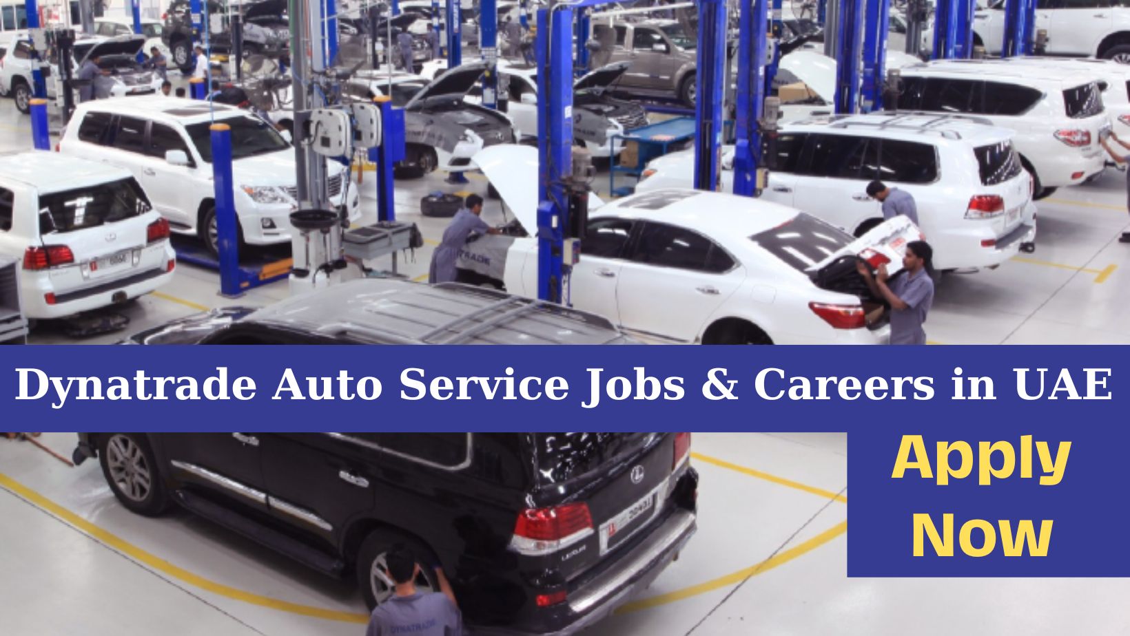 Dynatrade Auto Service Jobs & Careers in UAE Apply Now 2024