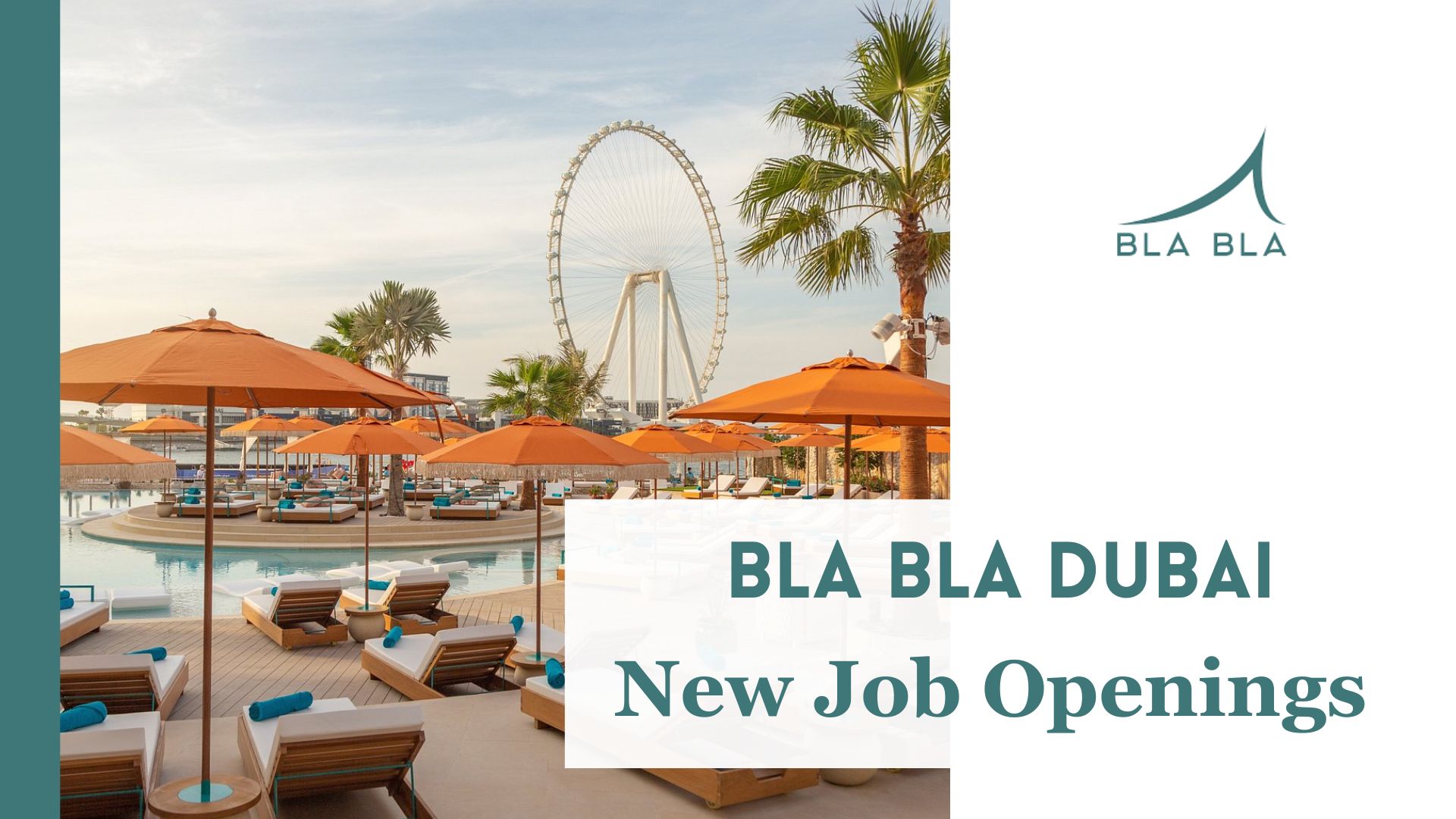 Bla Bla Dubai Hiring for Multiple Positions - Cazajobz