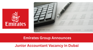 Junior Accountant Vacancy in Dubai