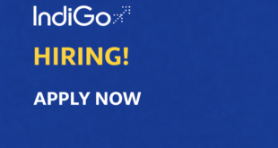 IndiGo Assistant Manager Sales