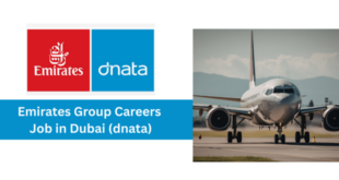 Emirates Group Careers 2026 – Support Coordinator Job in Dubai (dnata)